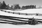 Split Rail Snowscape_14261